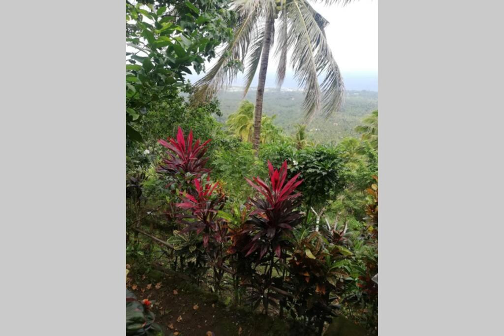 The Balcony Of The Camiguin Island Apartment Mambajao Exterior foto