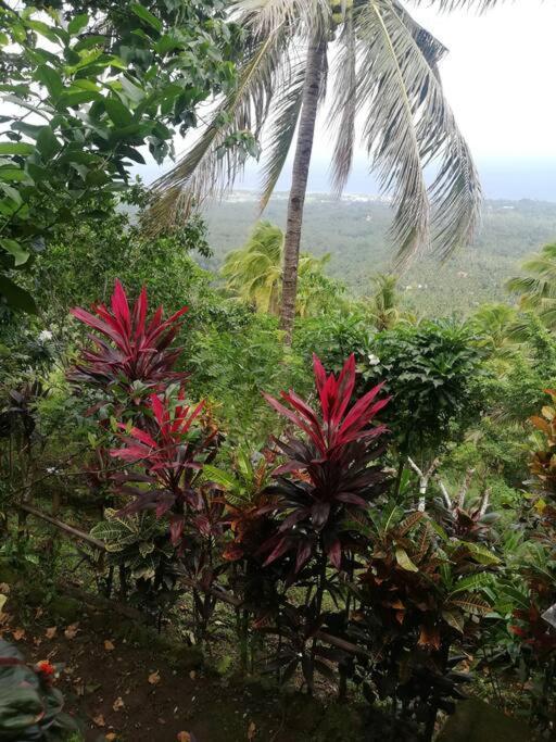 The Balcony Of The Camiguin Island Apartment Mambajao Exterior foto